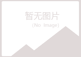 平远县夏日能源有限公司